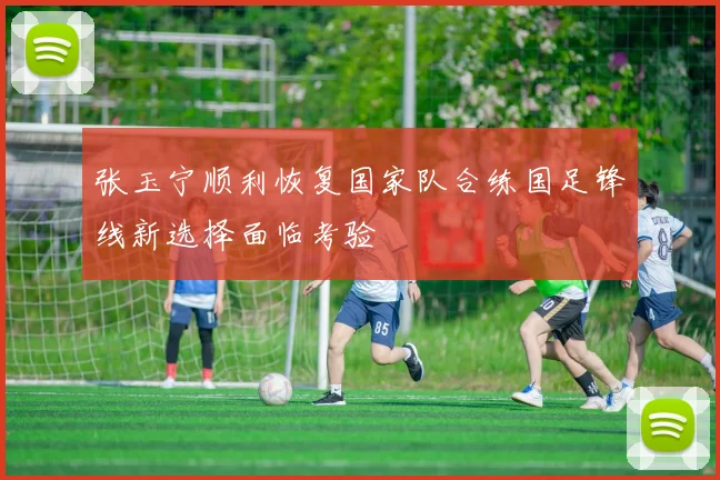 张玉宁顺利恢复国家队合练国足锋线新选择面临考验